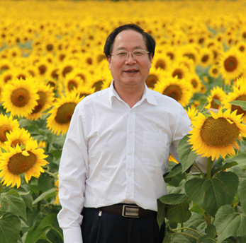董事会主席