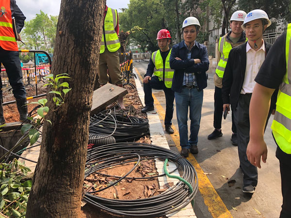 1551940545389335.jpg b.jpg