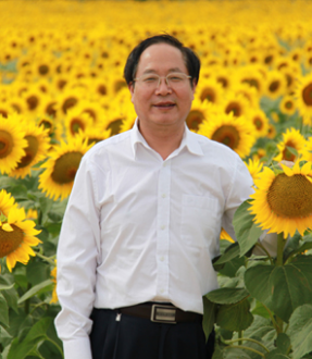 王玉清  集团总裁